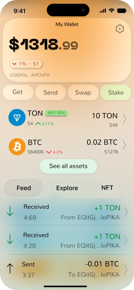 Wallet overview in the light theme