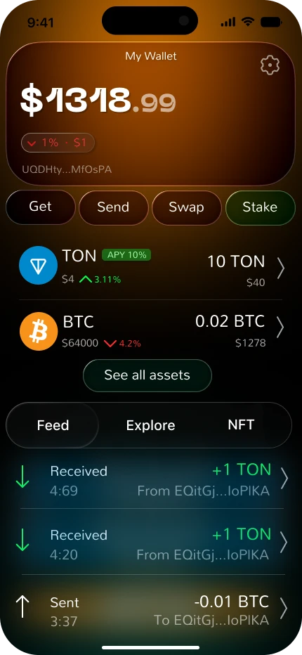 Wallet overview in the dark theme